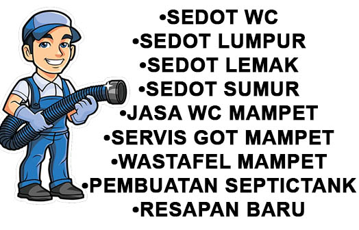 sedot wc